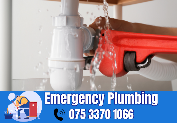  plumber Hawley